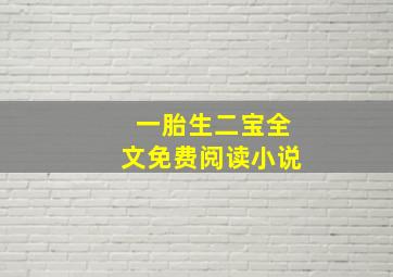 一胎生二宝全文免费阅读小说