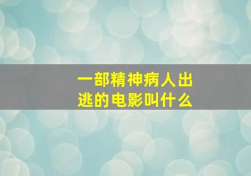 一部精神病人出逃的电影叫什么