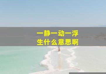 一静一动一浮生什么意思啊