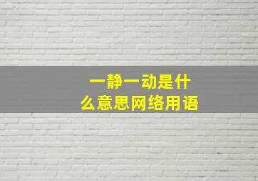 一静一动是什么意思网络用语