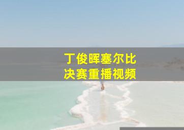 丁俊晖塞尔比决赛重播视频