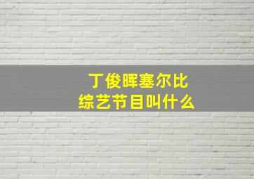 丁俊晖塞尔比综艺节目叫什么