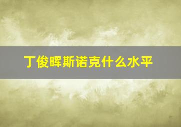 丁俊晖斯诺克什么水平