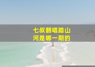 七叔翻唱踏山河是哪一期的