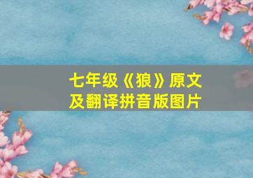 七年级《狼》原文及翻译拼音版图片