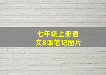 七年级上册语文8课笔记图片