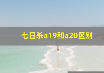 七日杀a19和a20区别