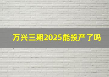 万兴三期2025能投产了吗