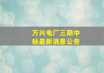 万兴电厂三期中标最新消息公告