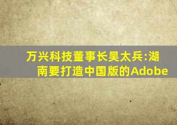 万兴科技董事长吴太兵:湖南要打造中国版的Adobe