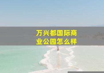 万兴都国际商业公园怎么样