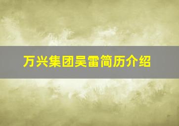 万兴集团吴雷简历介绍