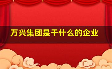 万兴集团是干什么的企业