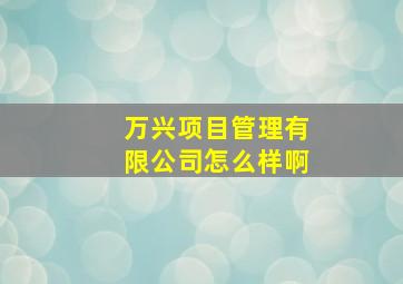 万兴项目管理有限公司怎么样啊