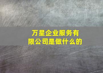 万星企业服务有限公司是做什么的