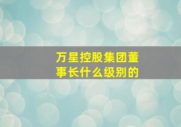 万星控股集团董事长什么级别的