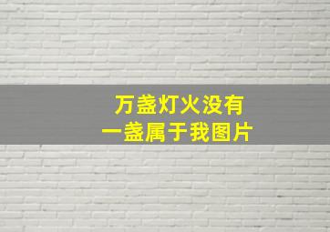 万盏灯火没有一盏属于我图片