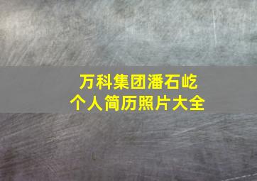 万科集团潘石屹个人简历照片大全