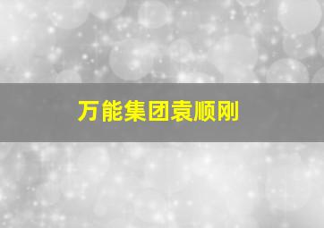 万能集团袁顺刚