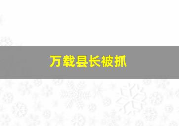 万载县长被抓