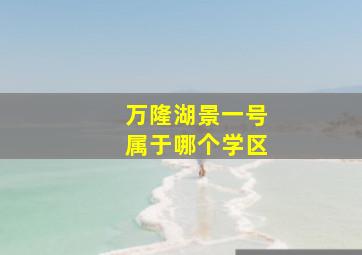 万隆湖景一号属于哪个学区