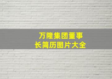 万隆集团董事长简历图片大全