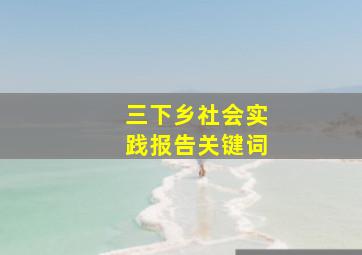 三下乡社会实践报告关键词