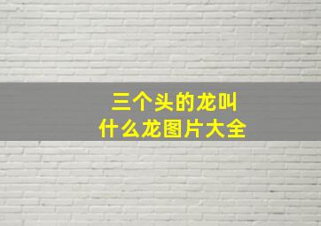 三个头的龙叫什么龙图片大全