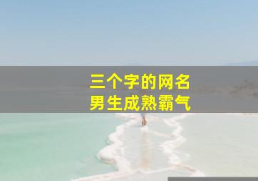 三个字的网名男生成熟霸气