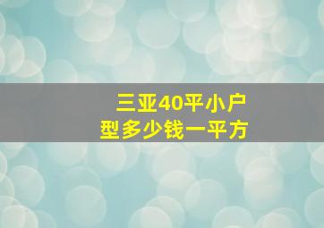 三亚40平小户型多少钱一平方