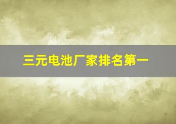 三元电池厂家排名第一