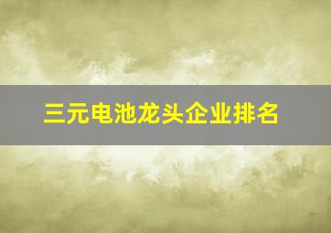 三元电池龙头企业排名