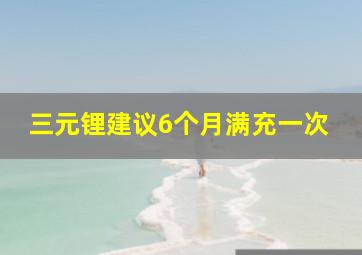 三元锂建议6个月满充一次