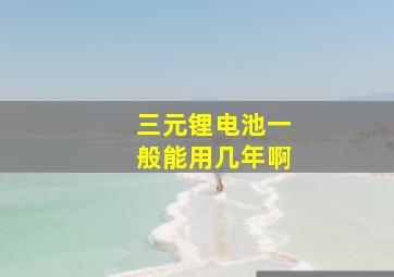 三元锂电池一般能用几年啊