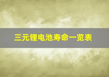 三元锂电池寿命一览表