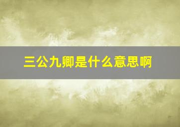 三公九卿是什么意思啊