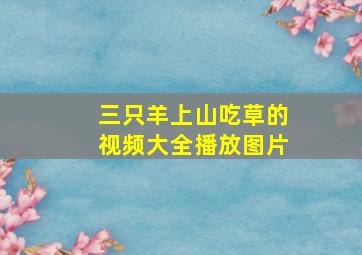 三只羊上山吃草的视频大全播放图片