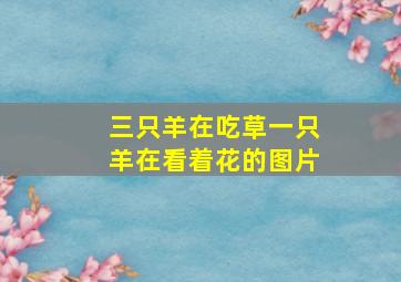 三只羊在吃草一只羊在看着花的图片