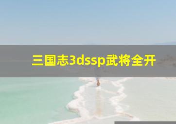 三国志3dssp武将全开