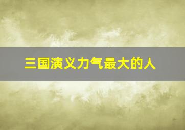 三国演义力气最大的人