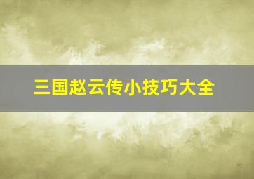 三国赵云传小技巧大全