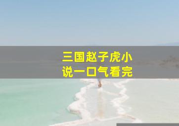 三国赵子虎小说一口气看完