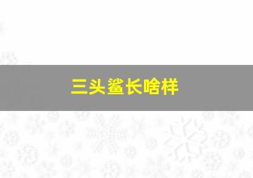 三头鲨长啥样