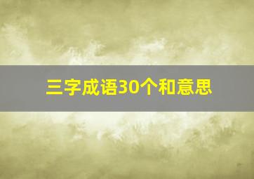 三字成语30个和意思