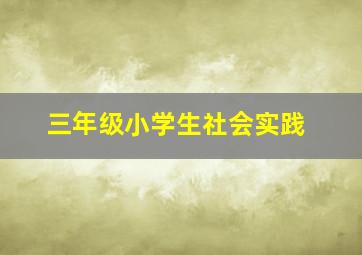 三年级小学生社会实践