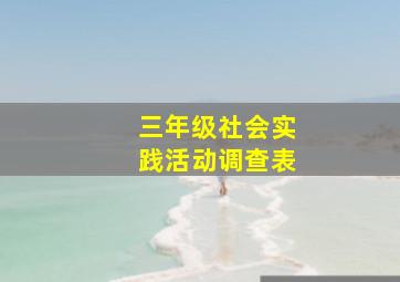 三年级社会实践活动调查表