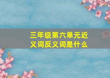 三年级第六单元近义词反义词是什么