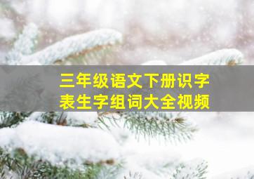 三年级语文下册识字表生字组词大全视频