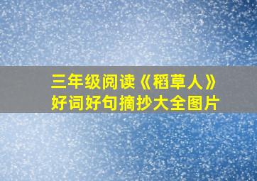 三年级阅读《稻草人》好词好句摘抄大全图片