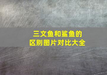 三文鱼和鲨鱼的区别图片对比大全